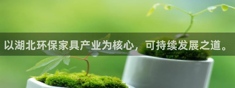 意昂5(KGAME)平台服务中心怎么样