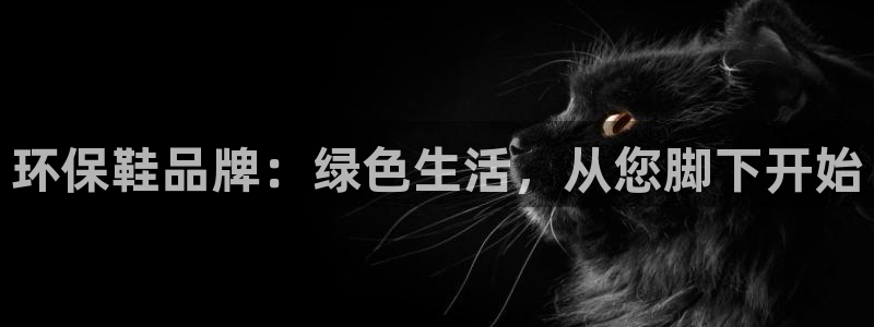 意昂5(KGAME)平台得专用通道：环保鞋品牌：绿色生活，从