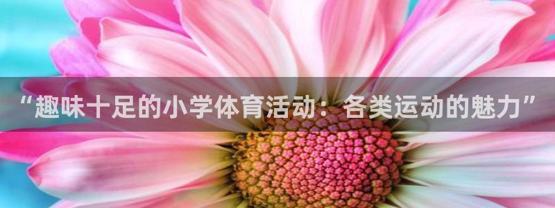 球速体育