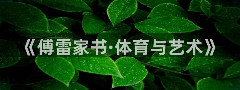 球速体育