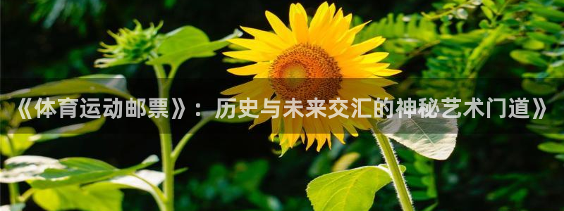 球速体育