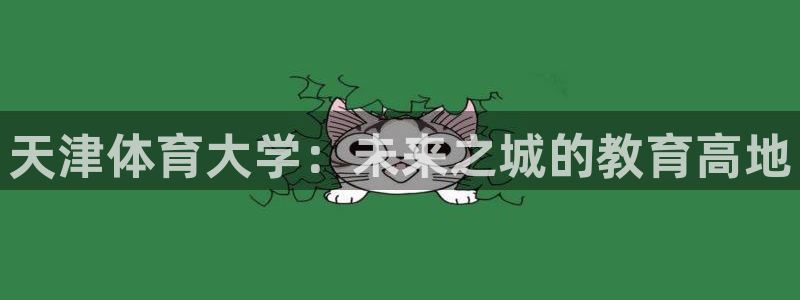 球速体育
