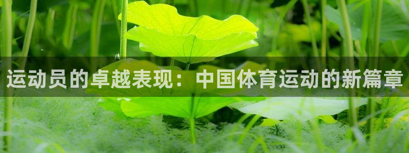 球速体育：运动员的卓越表现：中国体育运动的新篇章