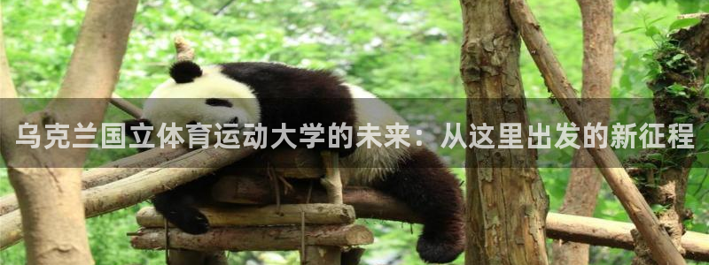 球速体育