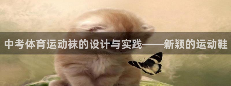 球速体育：中考体育运动袜的设计与实践——新颖的运动鞋