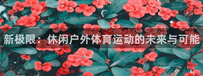 球速体育：新极限：休闲户外体育运动的未来与可能