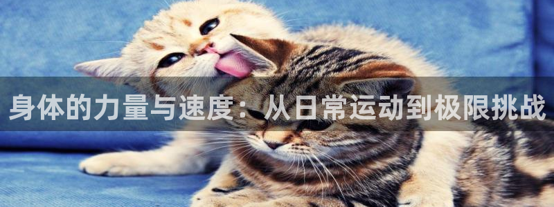球速体育：身体的力量与速度：从日常运动到极限挑战