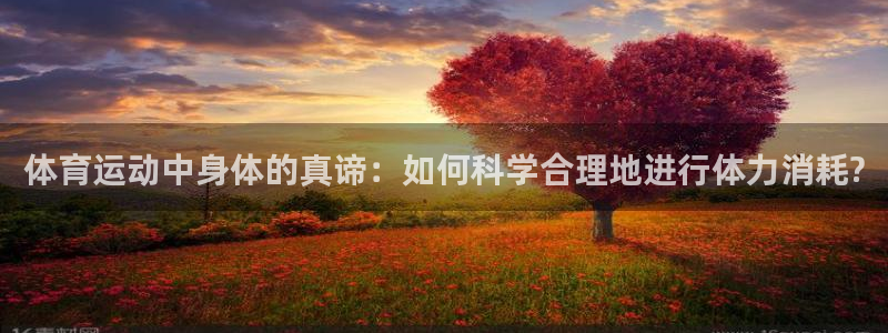 球速体育：体育运动中身体的真谛：如何科学合理地进行体力消耗?