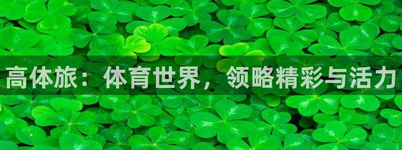 球速体育：高体旅：体育世界，领略精彩与活力