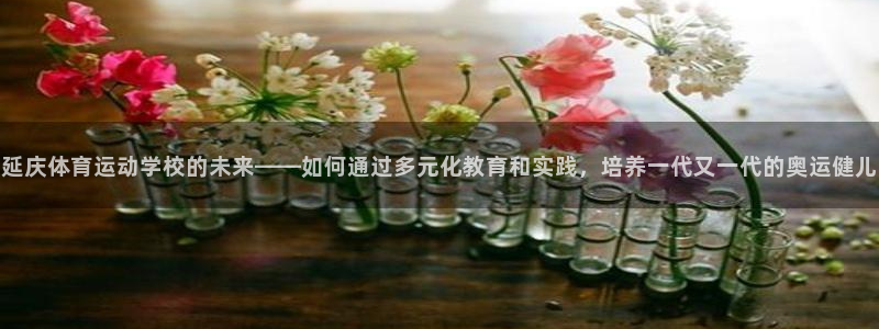 球速体育：延庆体育运动学校的未来——如何通过多元化教育和实践，培养一代又一代的奥运健儿