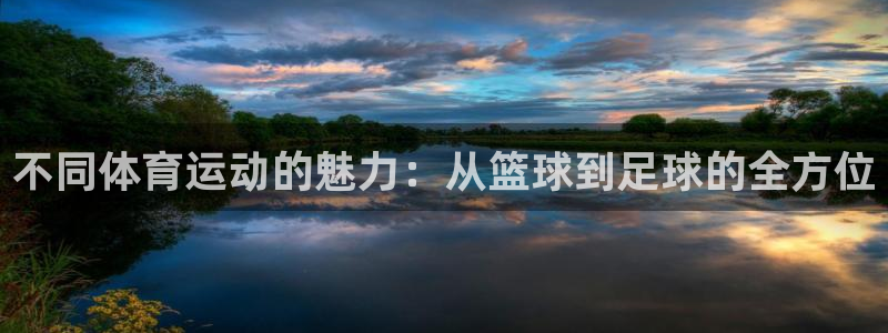 球速体育：不同体育运动的魅力：从篮球到足球的全方位